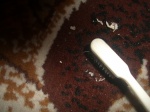 TEDGAR-GUM™ Eliminateur de chewing-gums. Produit de nettoyage qui permet de retirer le chewing-gum de tout type de surfaces