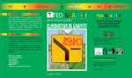 TED-ANTI-GRAFFITI™ (base nitro) Pour éliminer les graffitis et les tags